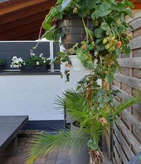 Andernach Apartment | Ferienwohnung Ela 1