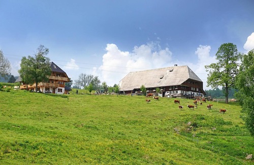 Hinterzarten Apartment | Ferienwohnung Feldberg, 50qm, 1 Schlafzimmer, max. 3 Personen