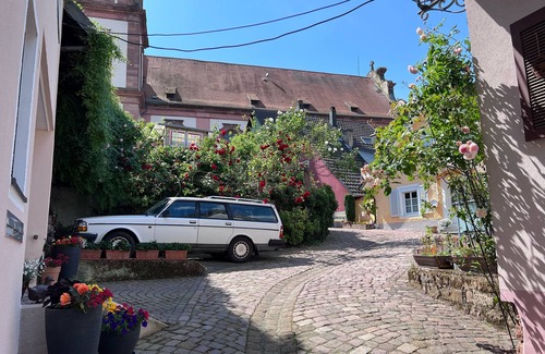 Barocke Altstadt Apartment | Ferienwohnung Furtwängler