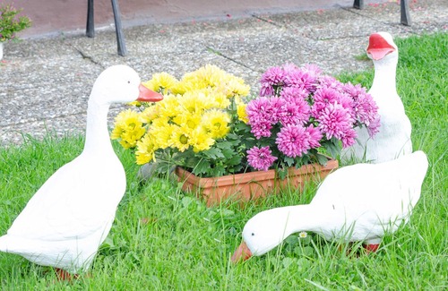 Mistelgau Apartment | Ferienwohnung im DG mit Terrasse im Garten - Ferienwohnung Hertel