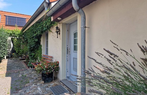 Kotzschenbroda Apartment | Ferienwohnung Kneipenviertel Altkötzschenbroda - Studio