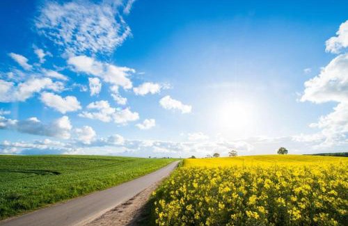 Boxlund Apartment | Ferienwohnung Lüttje Glück