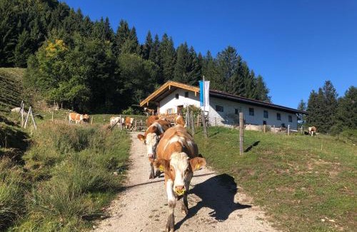 Marquartstein Apartment | Ferienwohnung Landhaus zum Sonnenschein