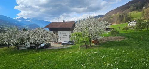 Schruns Apartment | Ferienwohnung Lara