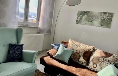 Waldkirchen Apartment | Ferienwohnung Mintbraun