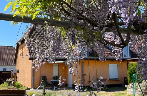 Rakow Apartment | Ferienwohnung mit Garten und Ostseenähe OVS 111 - 2-raum-ferienwohnung bis 2 Pers