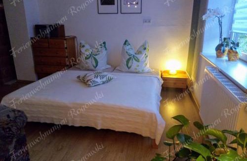 Breitenbrunn/Erzgeb. Apartment | Ferienwohnung Rogowski