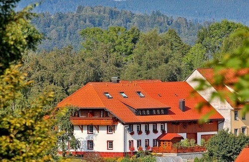 Wolpadingen Apartment | Ferienwohnung Süd mit ca. 52 qm, 1 Schlafzimmer, für maximal 2 Personen
