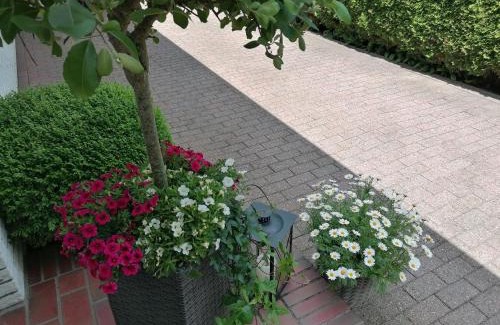 Niebuell Apartment | Ferienwohnung Schwalbennest