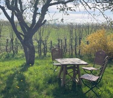 Herrieden Apartment | Ferienwohnung Storchenwiese im Fränkischen Seenland