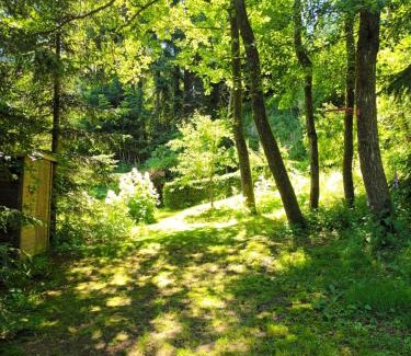 Eibenstock Apartment | Ferienwohnung "Waldesruh"