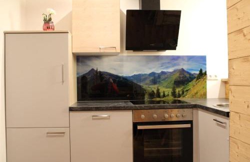 Stanggaß Apartment | Ferienwohnung Wendl