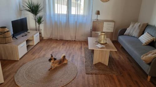 Sankt Ingbert Apartment | Ferienwohnung Wie dehemm