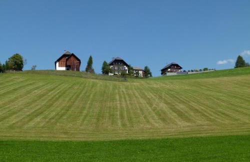 Mariapfarr Apartment | Ferienwohnungen Bachergut
