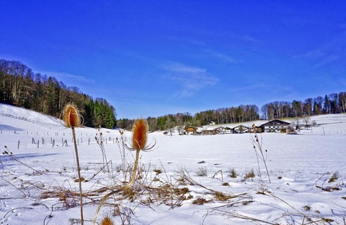 Aschau im Chiemgau House | Ferienwohnungen Wanderparadies Bauernhof
