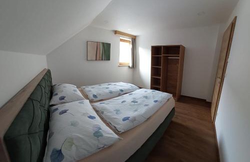 Fanning Apartment | Ferienwohnungen Guglhof Mariapfarr