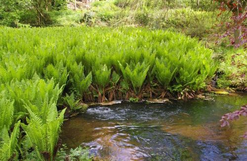 Kaiserslautern Apartment | Ferienwohnungen Reichholdsmühle