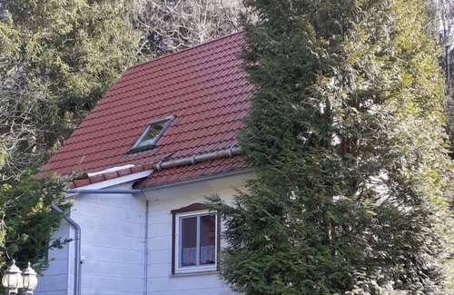 Wildemann Apartment | Ferienwohnungen Waldblick, Wohnung 1