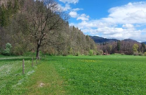 Oberaudorf Apartment | Ferienwohnungen „Zum Bauern“