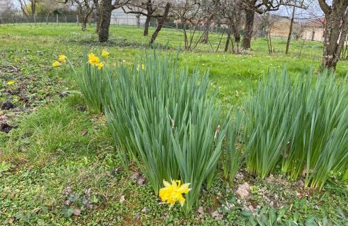 Saint-Jean-sur-Reyssouze House | Ferme de St-Jean