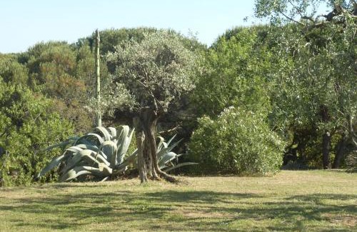 Ramatuelle Apartment | FERME DU MOULIN ROUX- 2 superbes appartements- 2cbres chacun- classé 3 étoiles, climatisés