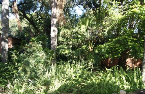 Makhado Bed & Breakfast | Fern Cottage