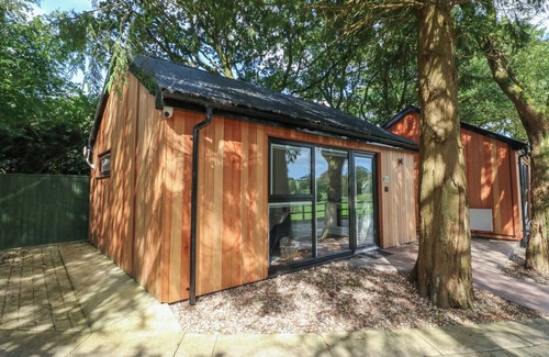 Swimbridge Cottage | Fern