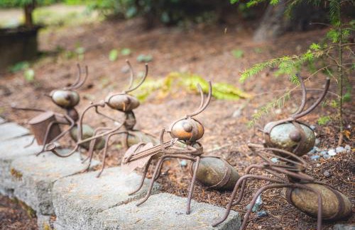 Adelma Beach House | Fern House Rustic Modern Hiking Base Sequim