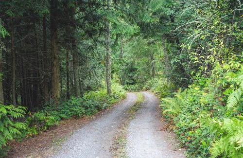 Adelma Beach House | Fern House Rustic Modern Hiking Base Sequim