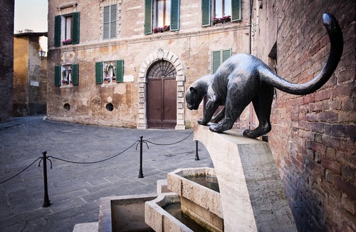 Siena Historical Center Apartment | Few Steps from the Duomo - Luxury Apartment 2