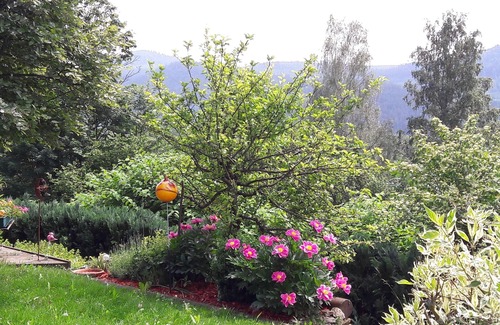 Bodenmais Apartment | Fewo-Harlachberg-Blick-1