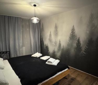 Schluchsee Apartment | FeWo im Kurhotel in Schluchsee Apartment Black Forest mit Balkon Indoorpool Tiefgaragenstellplatz