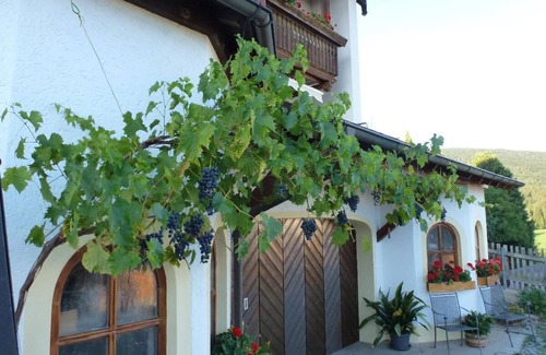 Rimbach Apartment | FeWo in ruhiger Südlage mit WLAN