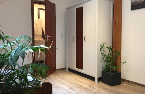 Wurzburg City Centre Apartment | FeWo Pleich