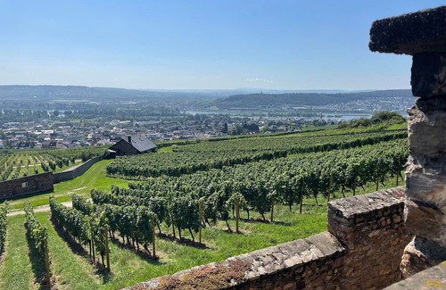 Ruedesheim am Rhein Apartment | Fewo "waldhaus" - Appartement/fewo