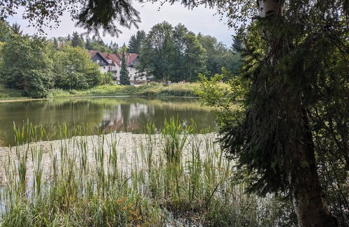 Bockswiese Apartment | FeWo Waldseeblick directly on the Liebesbankweg and Oberharzer Wasserregal