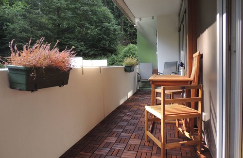 Bad Harzburg Apartment | Fewo Wanderhain