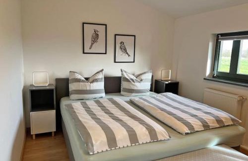 Dargun Apartment | FeWo Wollin Mecklenburg Pool Alte Schule Barlin