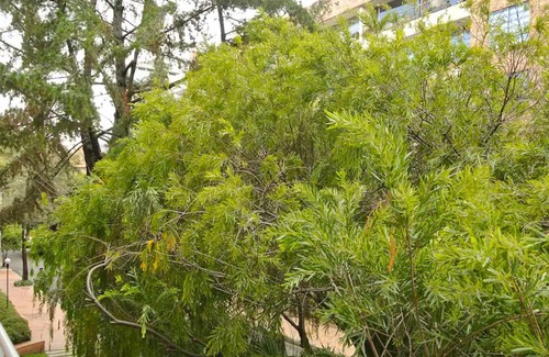 La Gran Via Apartment | FH ~ Stylish loft in Chicó Norte ~ Bogotá