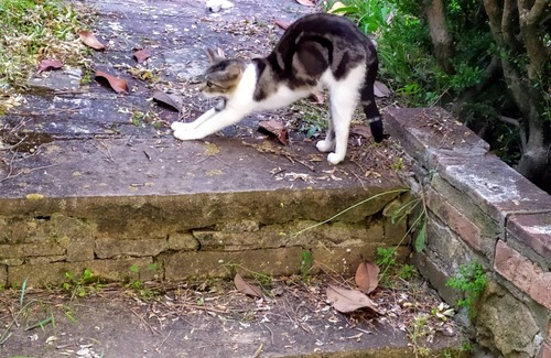 Montaione Apartment | Fienile, Spacious Apartment with Private Garden in a Tuscan Retreat