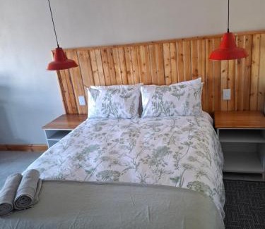 Colesberg House | Fig Tree