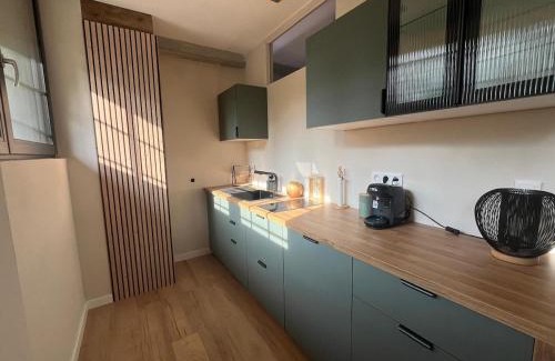 Wasselonne Apartment | Filature 1813-Duplex-Relaxation,spa,garden View