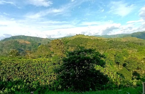 Manizales Cabin | Finca Abisinia