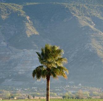 Padul Villa | Finca Bellas Vistas
