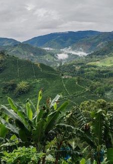 La Estrella House | Finca Campestre Villa del Campo