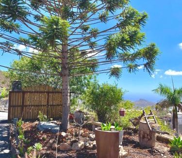 El Madronal House | Finca Chimaca