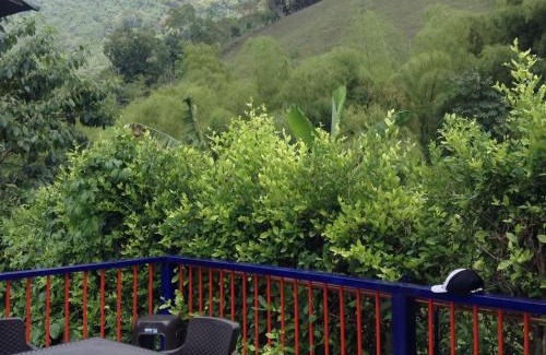 Pereira House | Finca El Sueño De Mi Abuelo