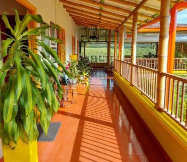 La Estrella Cabin | FINCA HOTEL DON JULIO