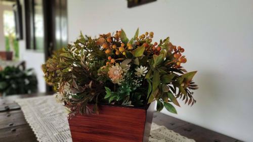 Pueblo Tapao Hotel | Finca Hotel El SAMAN de alto bonito