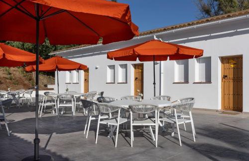Coin Bed & Breakfast | Finca La Familia Naranja
